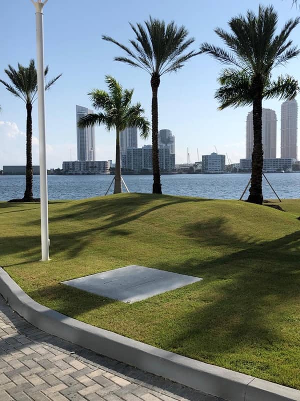 sn landscaping fortlauderdale (34)
