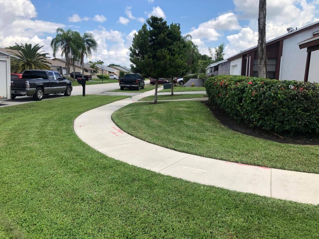sn landscaping fortlauderdale (6)