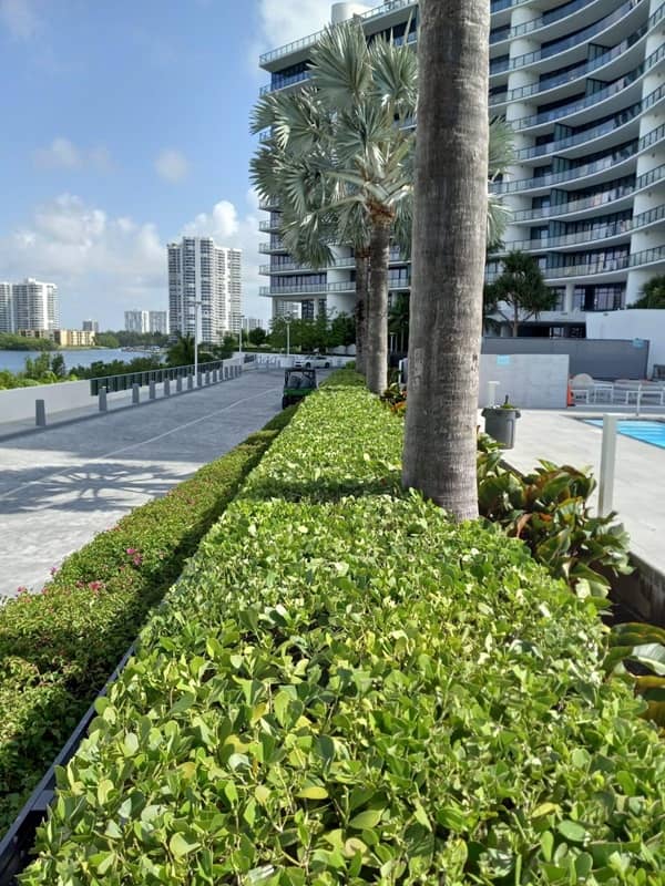 sn landscaping fortlauderdale (26)