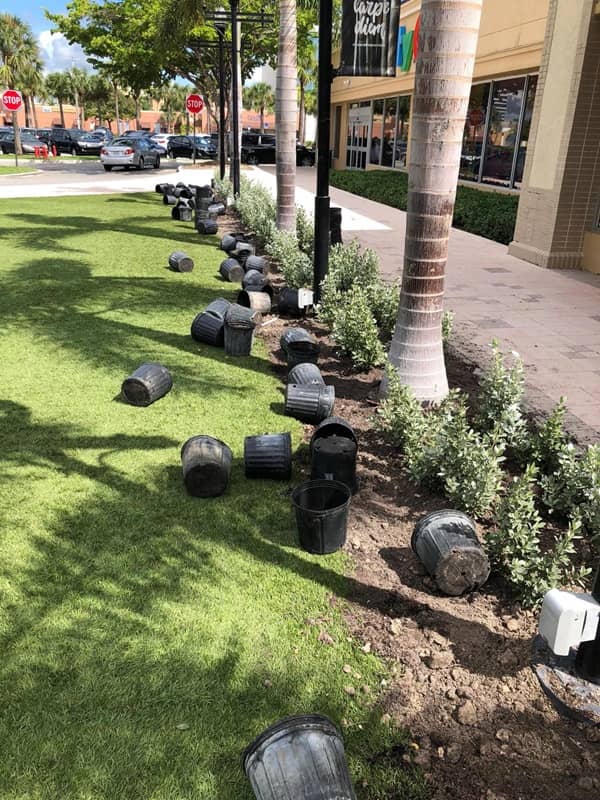 sn landscaping fortlauderdale (32)