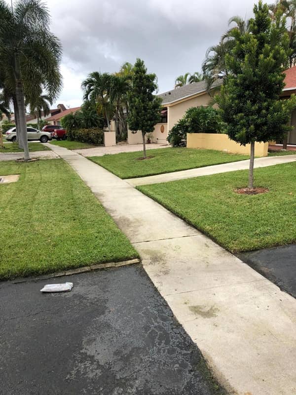 sn landscaping fortlauderdale (35)