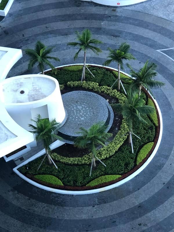 sn landscaping fortlauderdale (36)