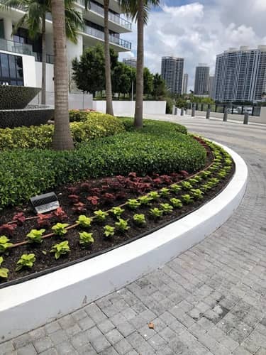 sn landscaping fortlauderdale (41)