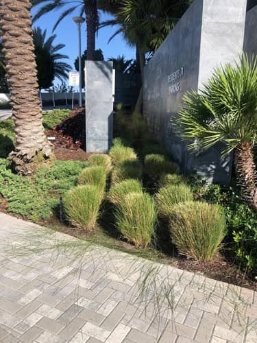 sn landscaping fortlauderdale (46)