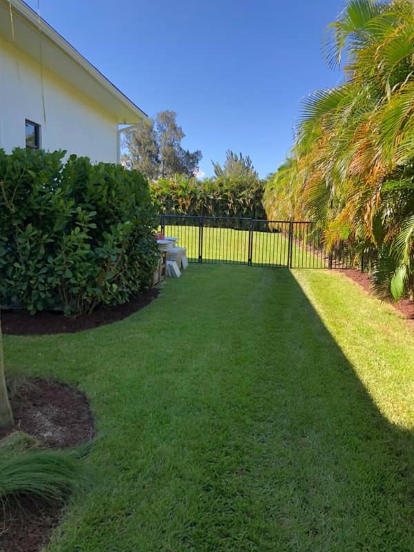 sn landscaping fortlauderdale (50)