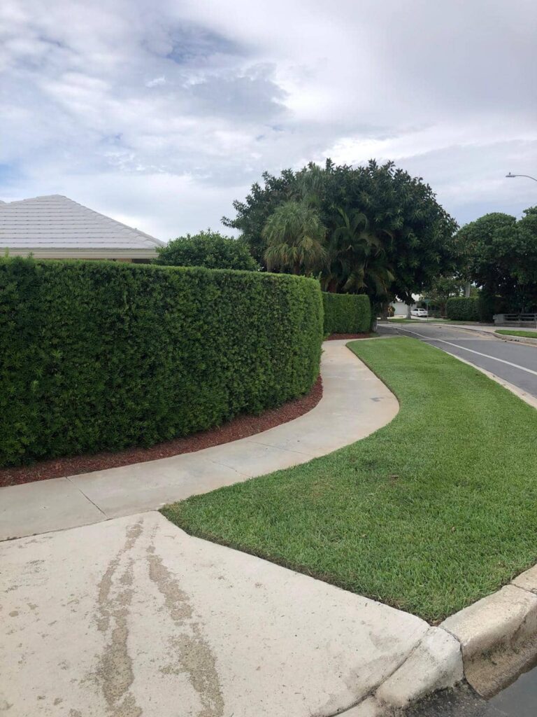 sn landscaping fortlauderdale (52)