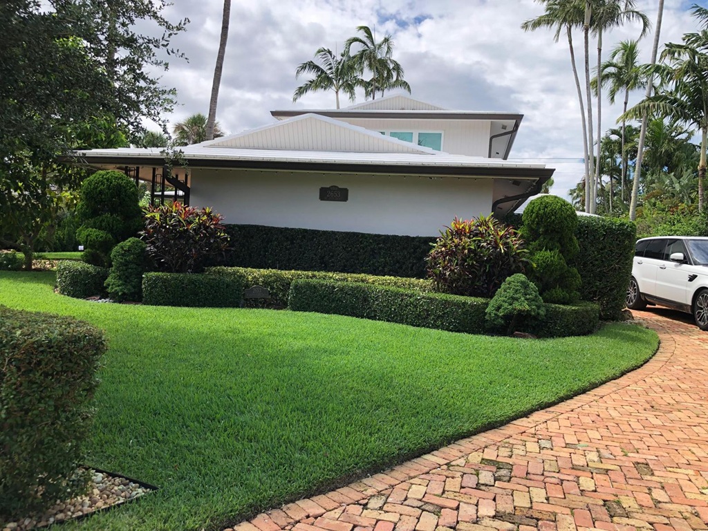 sn landscaping fortlauderdale (58)