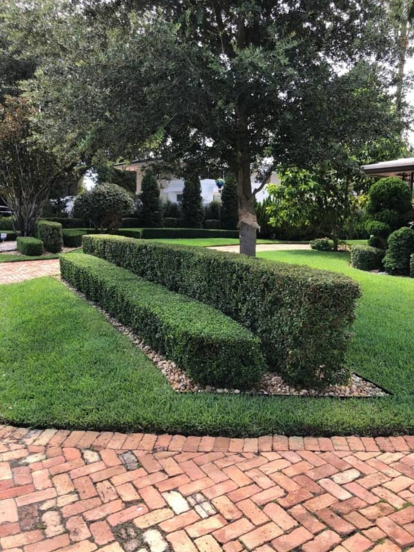 sn landscaping fortlauderdale (59)