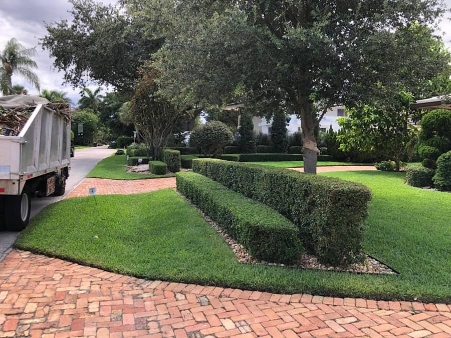sn landscaping fortlauderdale (61)