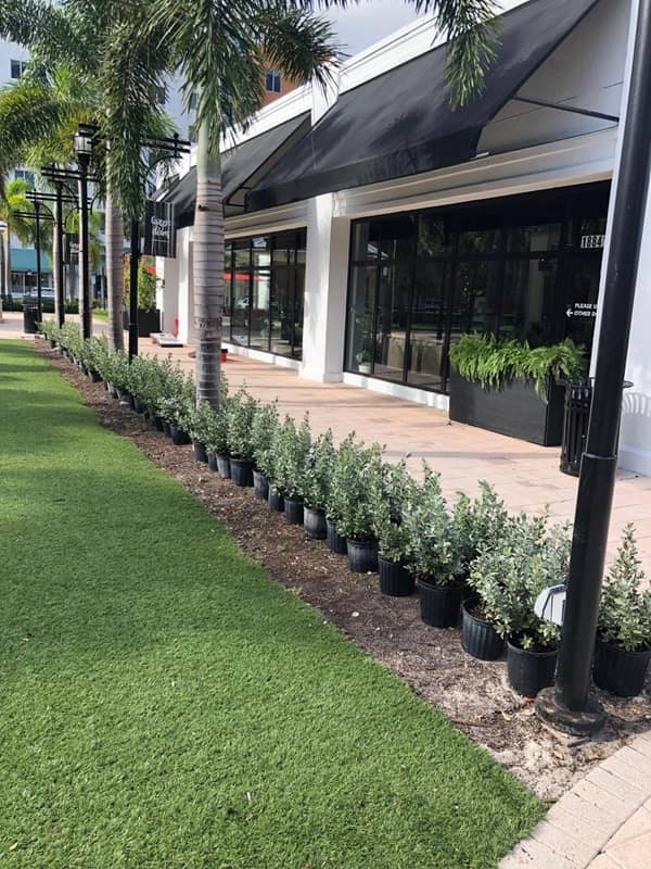 sn landscaping fortlauderdale (62)