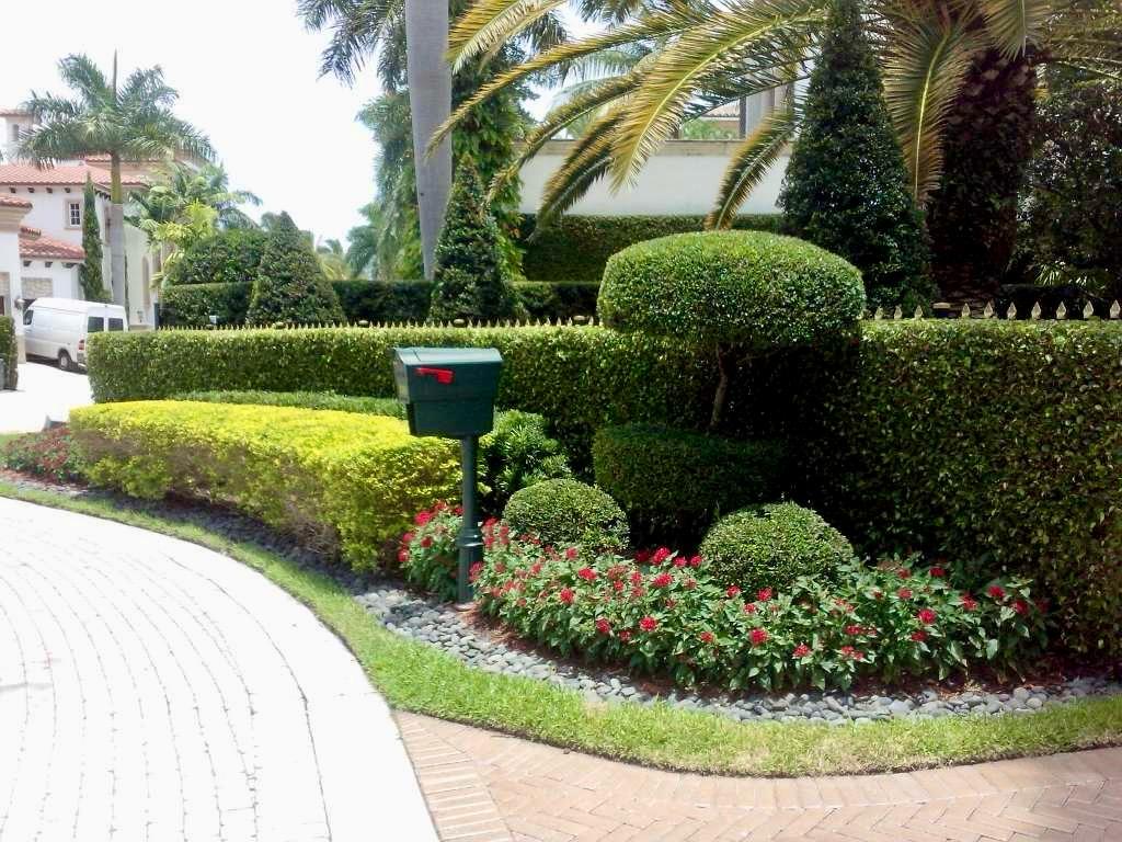 sn landscaping fortlauderdale (63)