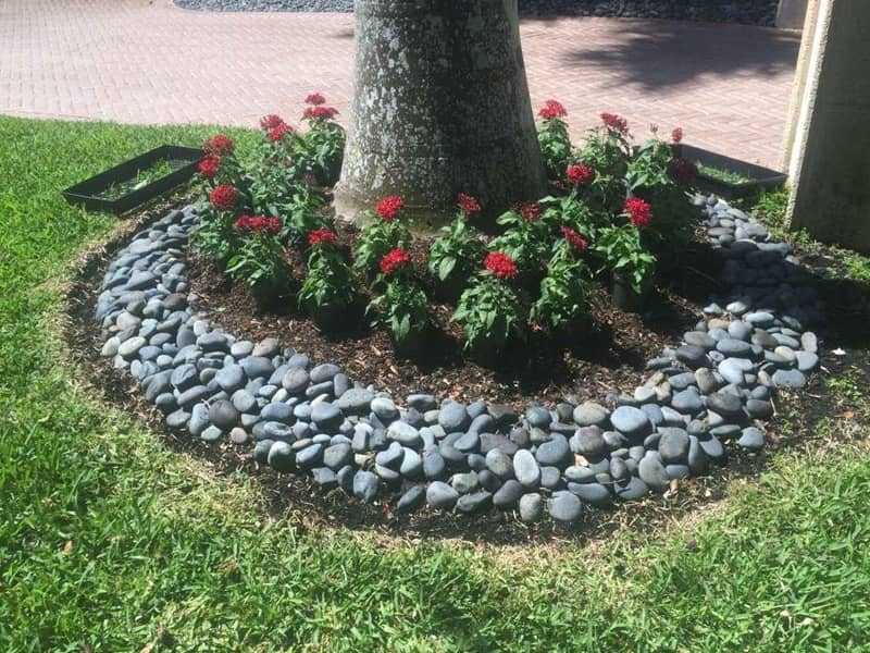 sn landscaping fortlauderdale (about)