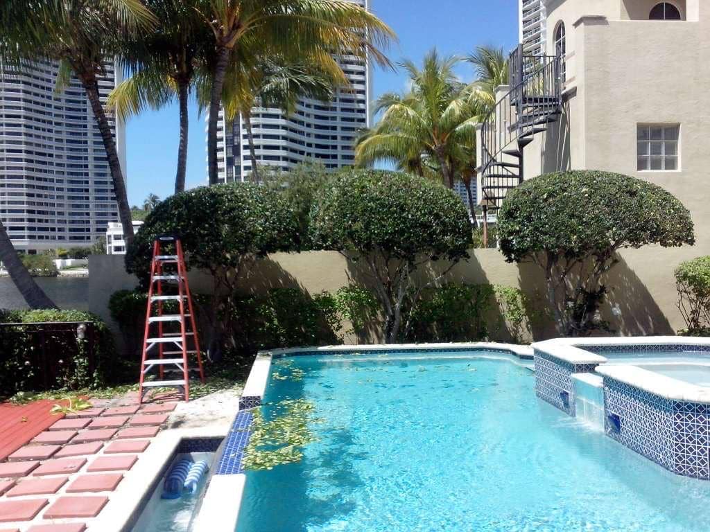 sn landscaping fortlauderdale (services)
